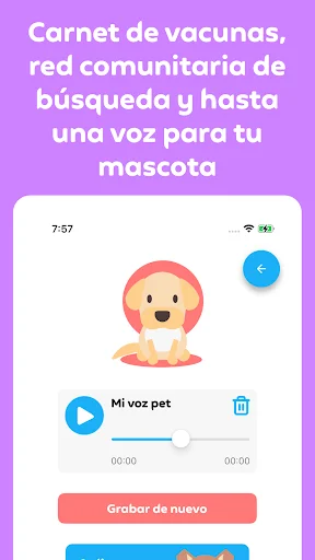 Qrarte: Conecta tu Historia a través de Arte y Códigos QR - Screenshot 19
