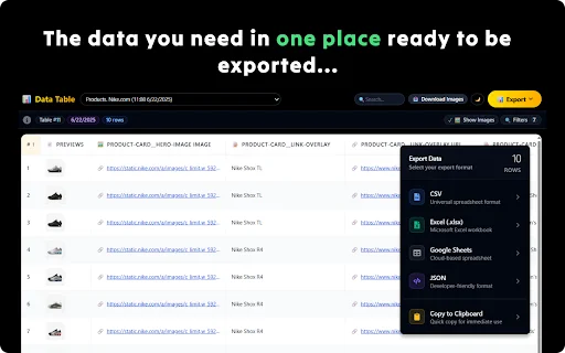 Ultimate Web Scraper: Extrae datos de sitios web al instante - Screenshot 4