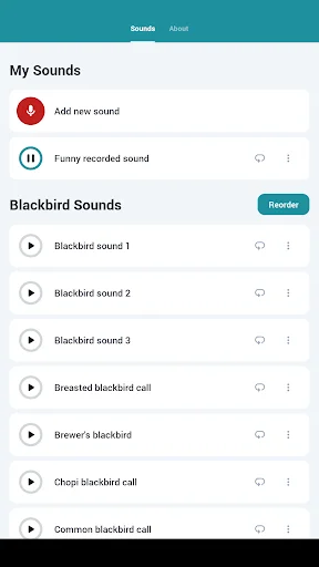Descarga Blackbird Sounds: Melodías de Naturaleza Gratis - Screenshot 11